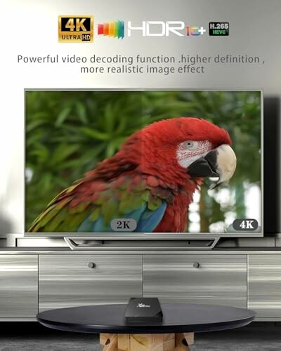 Papagei auf einem 4K-Fernseher